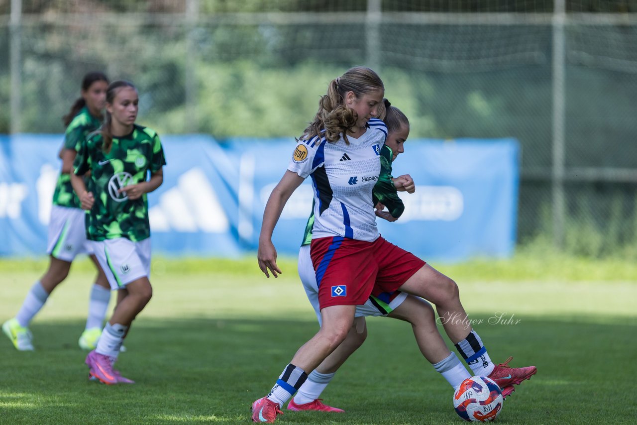 Bild 341 - wBJ Hamburger SV - VfL Wolfsburg : Ergebnis: 5:1